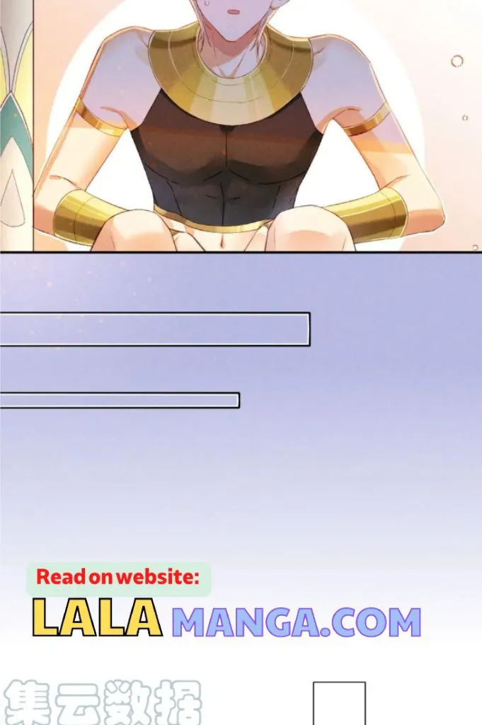 a0d6568f061c