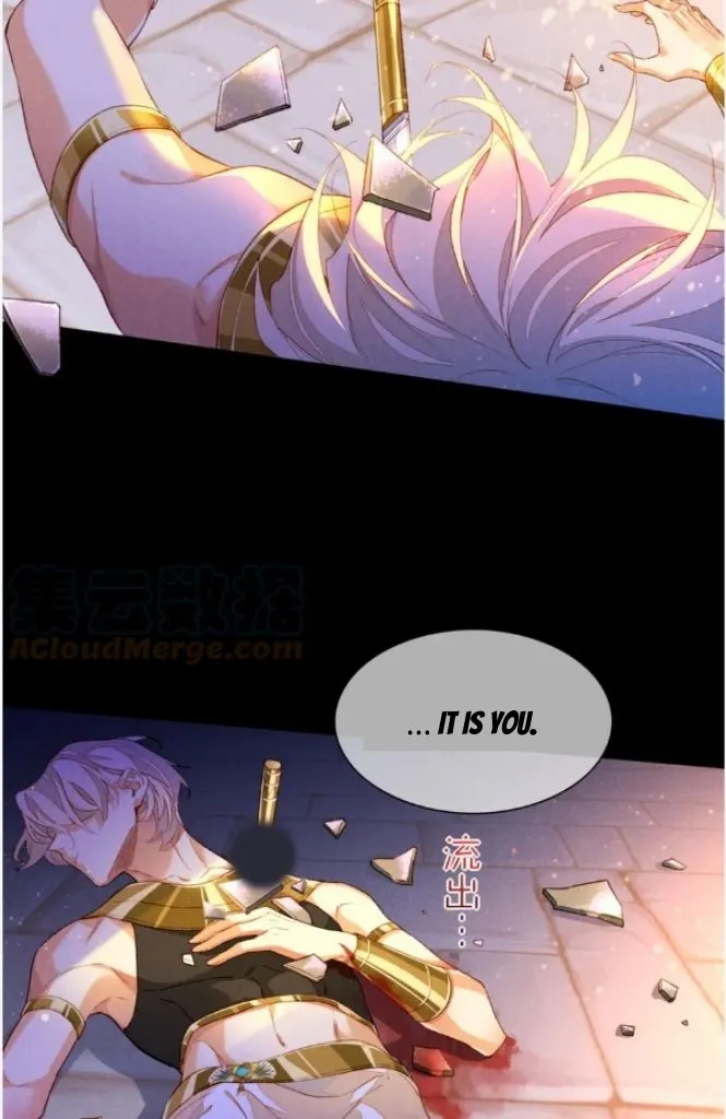6cb61a127f47