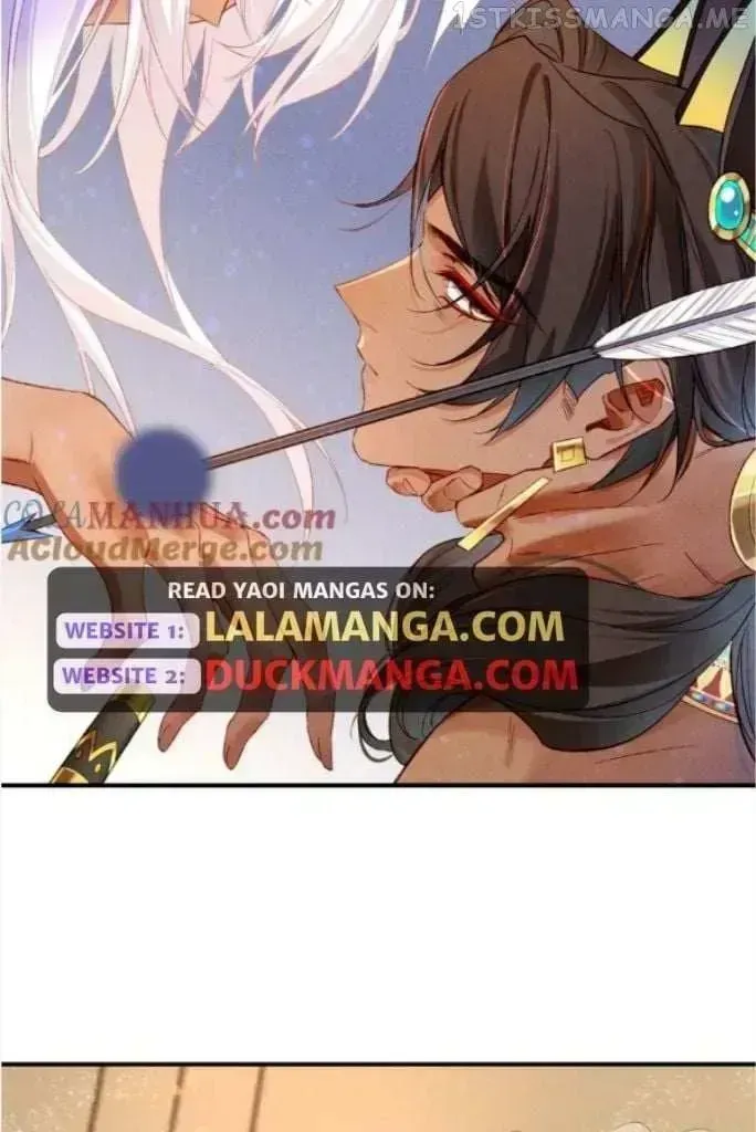 7e244666c892