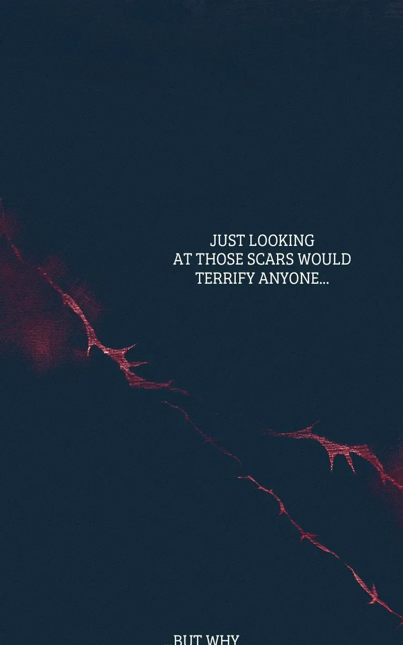 223f2569e925