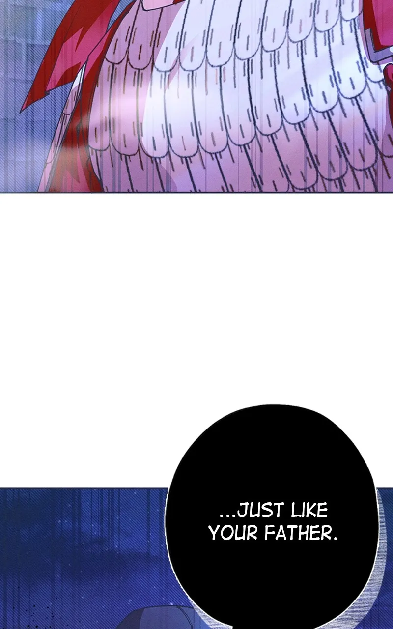 9c97416b8acc