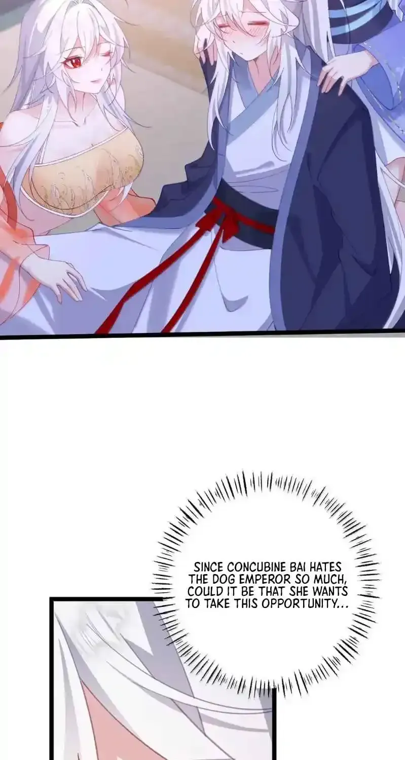 ebc0c44cc224