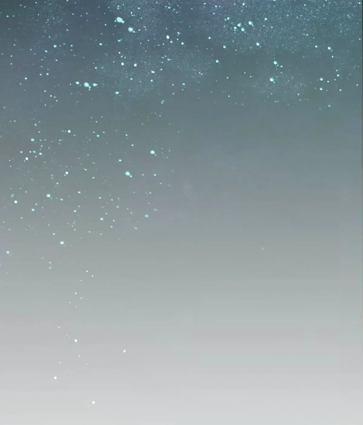 c36f08368804