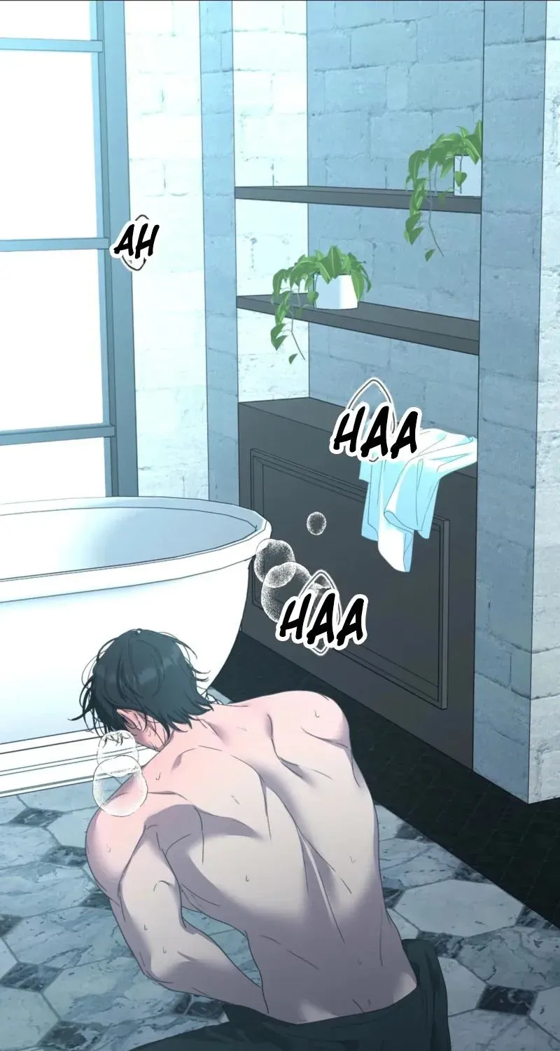 9ae0c31ba424