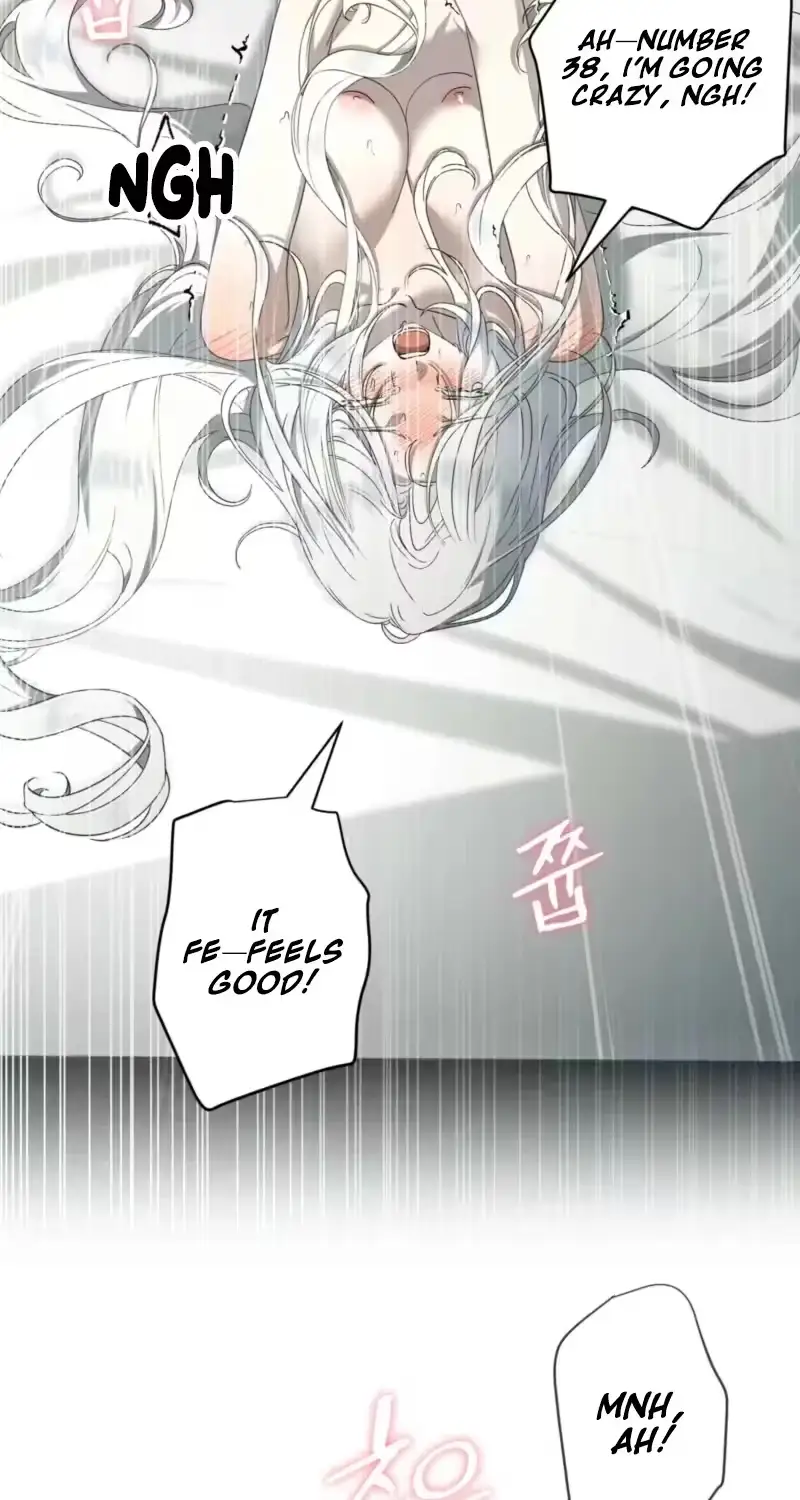 The Demon King Wants to Live in Peace Chapter 39 238 e5090d57303c