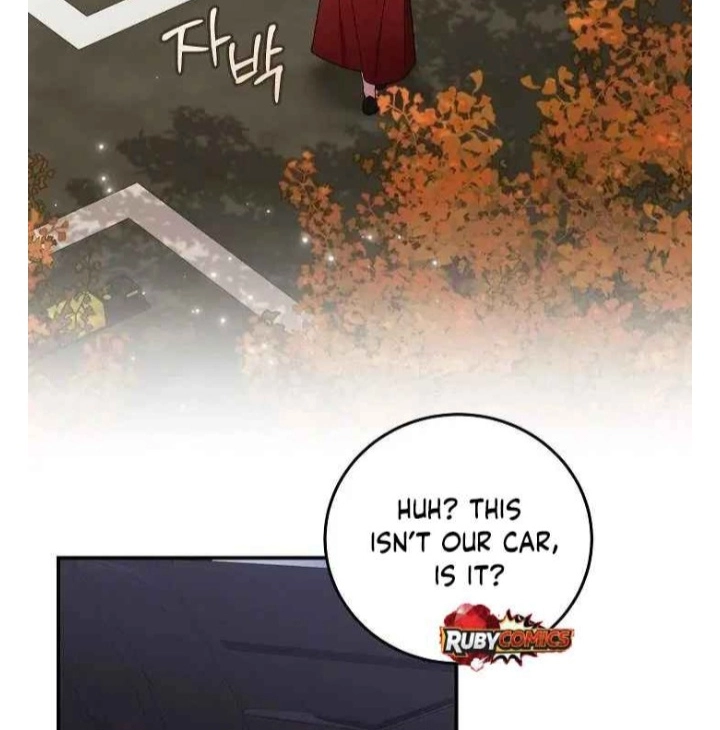 cfa986e6c203