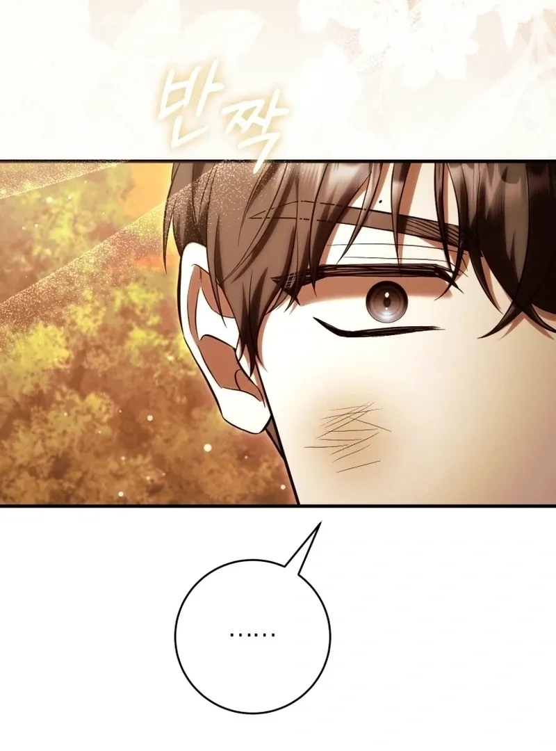 The Extra Wants to Escape From the Obsessive Male Lead Chapter 28 411 9259180aab5a