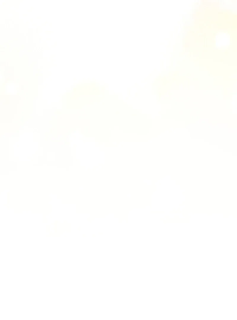29bebc52241a