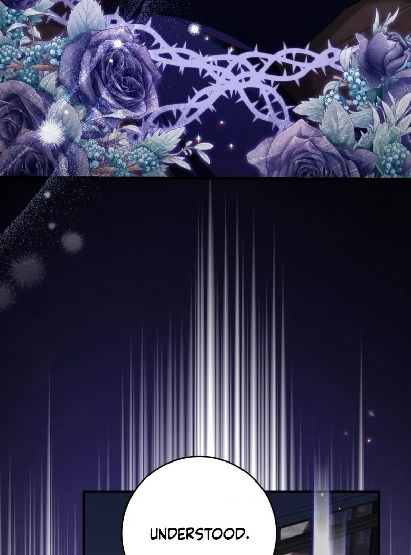 c8a6d4b13e6d