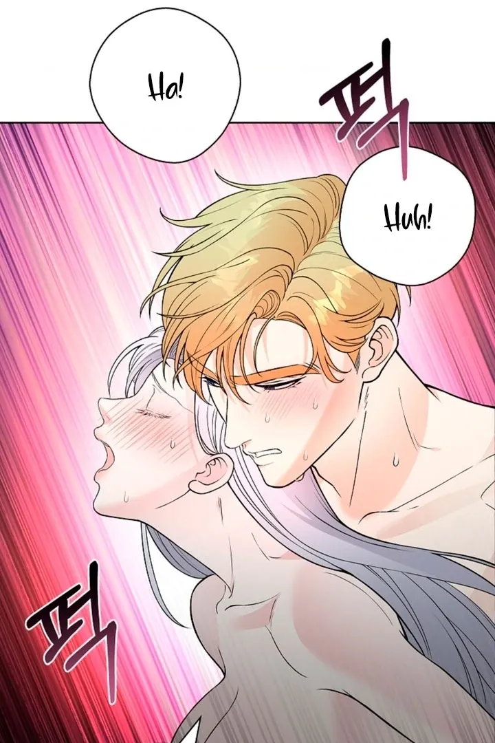 The Saintess's Petals Become Wet Chapter 11 336 1f49868f9957