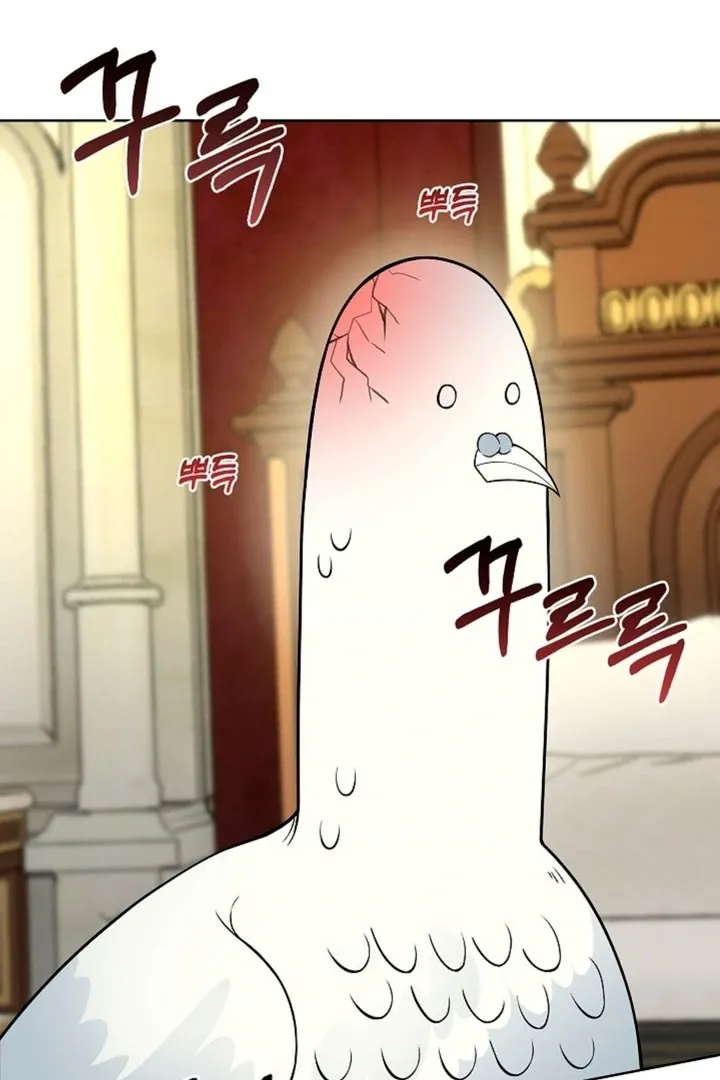 The Saintess's Petals Become Wet Chapter 11 365 5c3af9cc998e