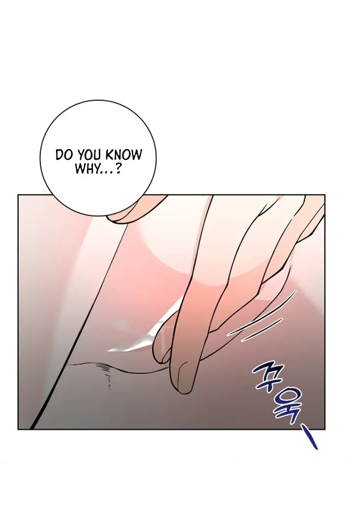 The Saintess's Petals Become Wet Chapter 13 405 b84ffbbb78f9