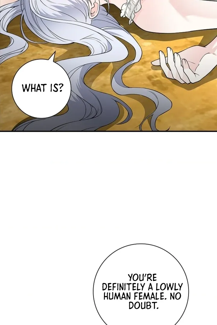 The Saintess's Petals Become Wet Chapter 17 352 3ebb1a89784b