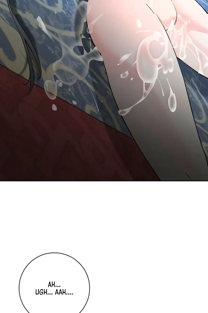 The Saintess's Petals Become Wet Chapter 3 429 e30004dff62f