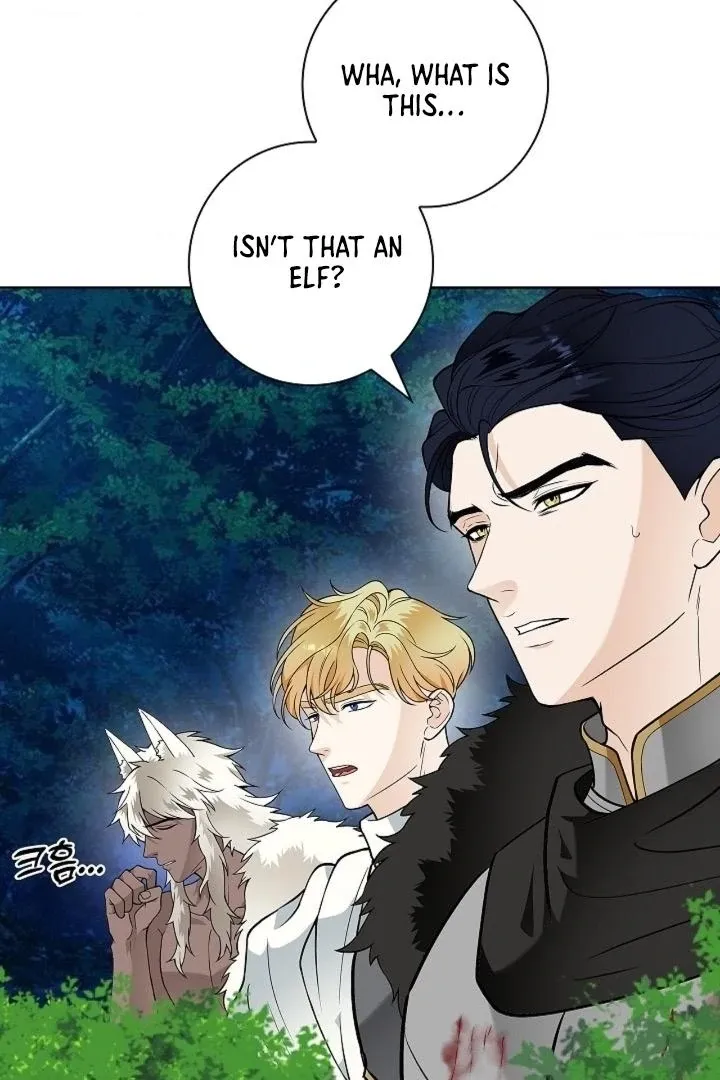 The Saintess's Petals Become Wet Chapter 31 353 55d1abcd9a8a