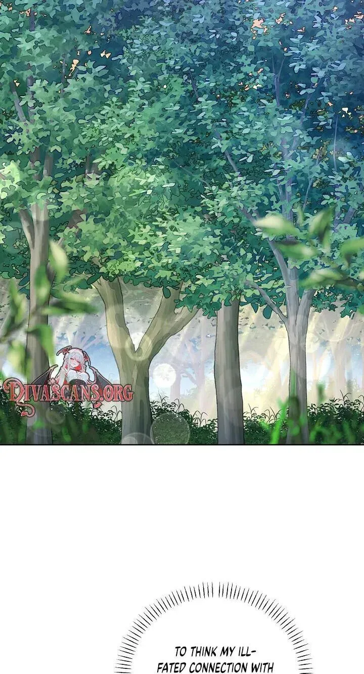 I Became the Wife of the Cursed Grand Duke Chapter 28 246 8b5af47358fb 20