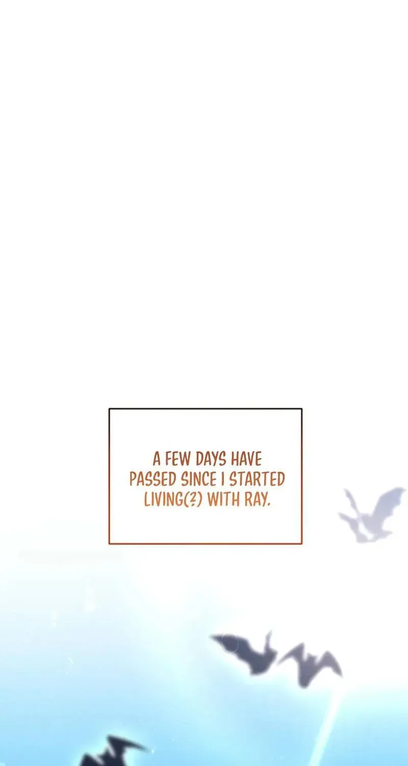 c13f1dd1df6d