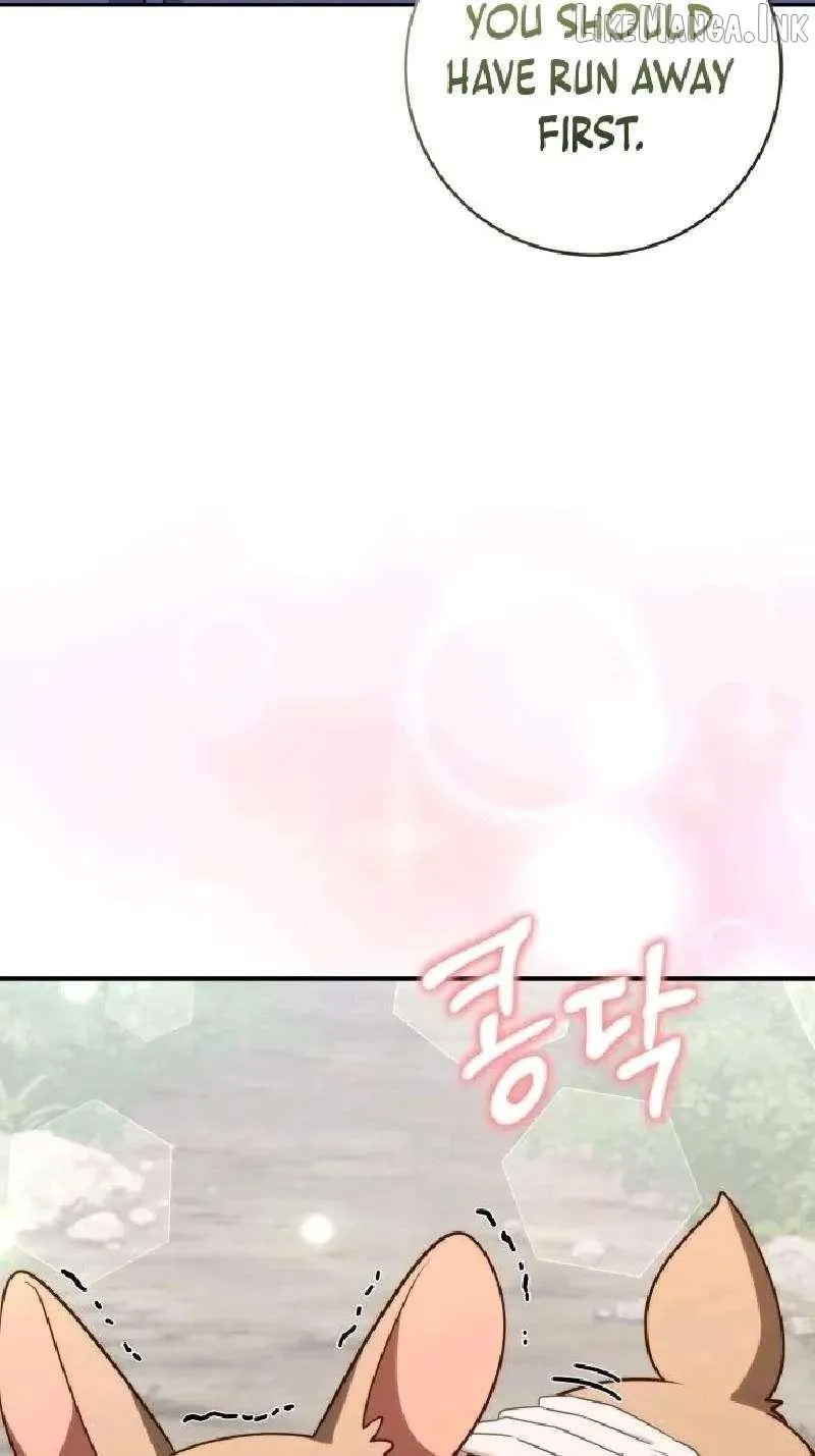1fdccd6ea037