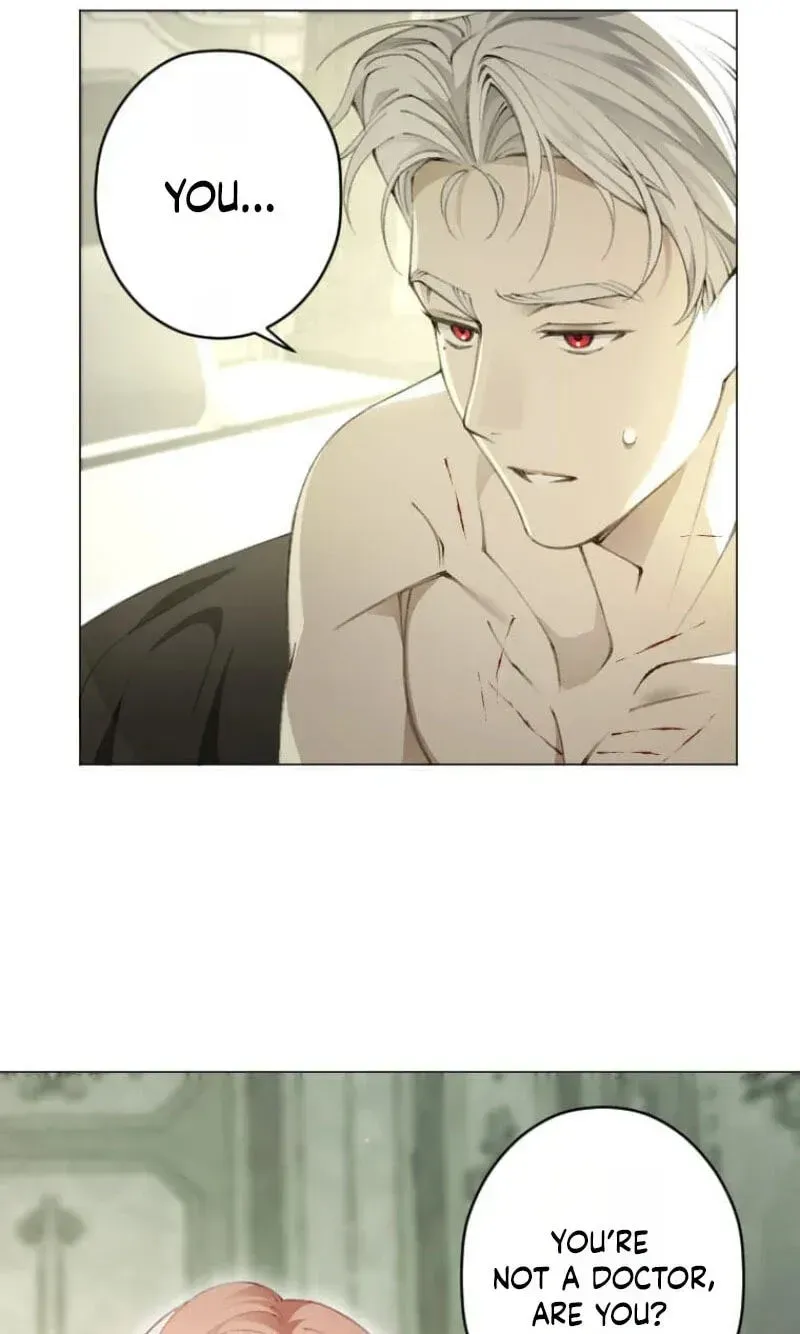 What Was Meant to Be a Contract Marriage Turned Into the Duke's Obsession Chapter 12 337 6e0a8e00b2f0