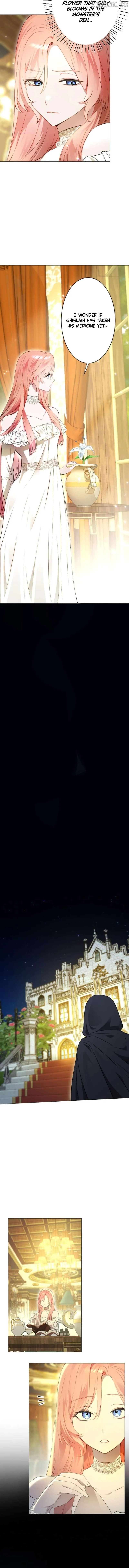 cc76a8a6d625
