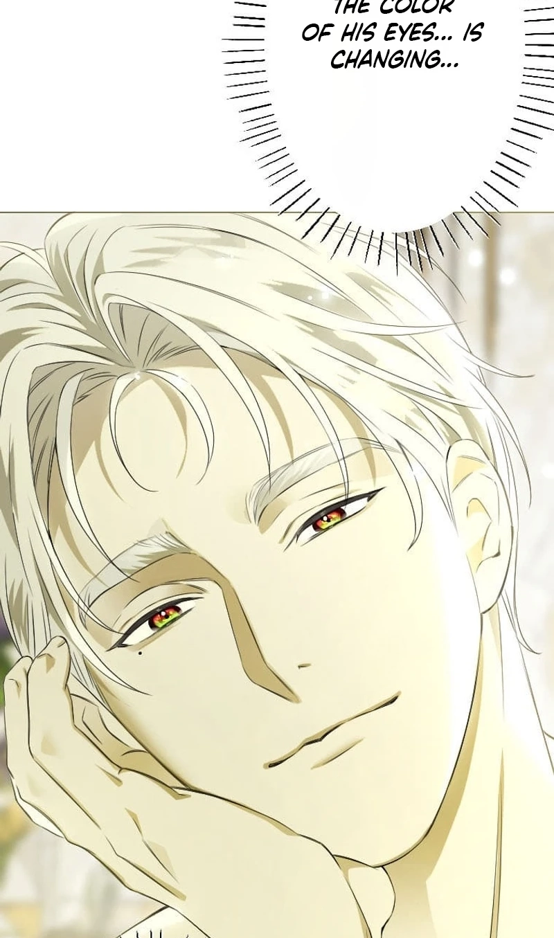 What Was Meant to Be a Contract Marriage Turned Into the Duke's Obsession Chapter 20 386 526f967ab7dc