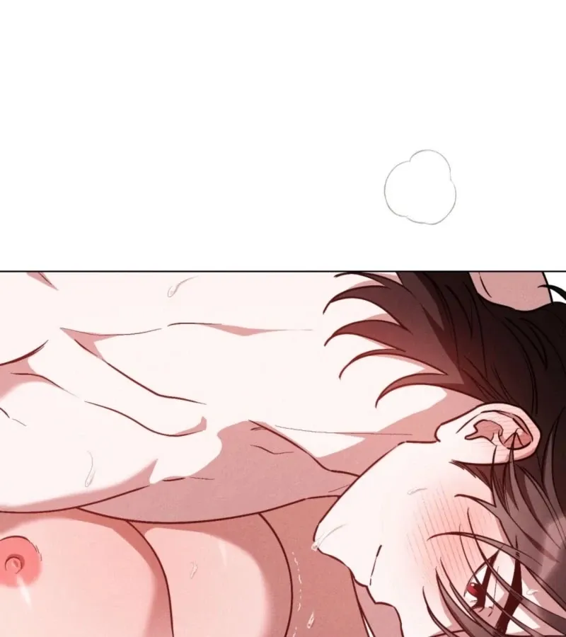 1d5588eb02ea