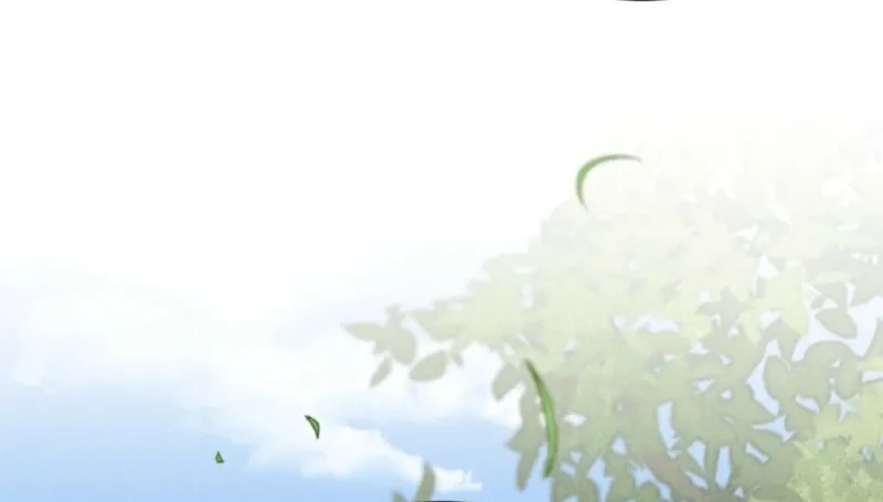 c2d5c139fd50