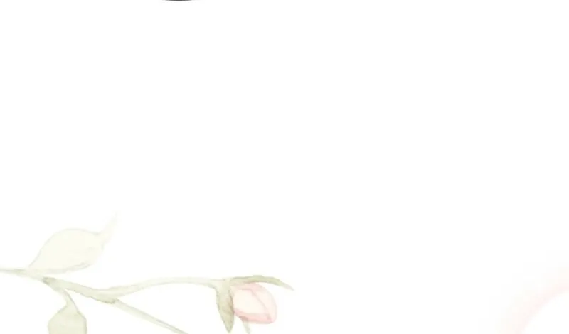 bd3e0bd57574