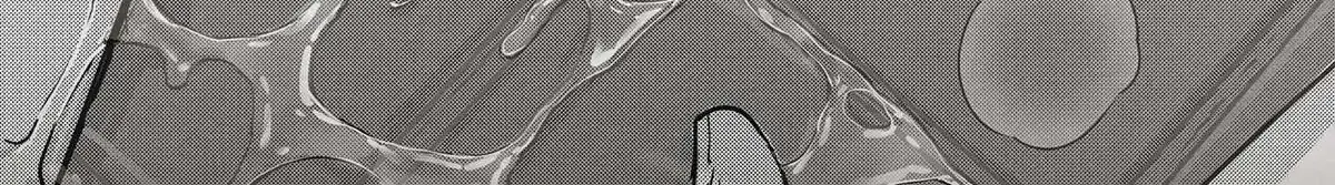 9a59d1bc6060
