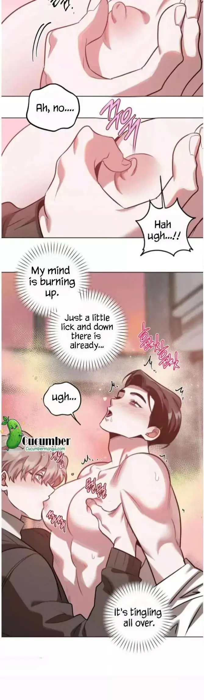 2c1e53e778d0