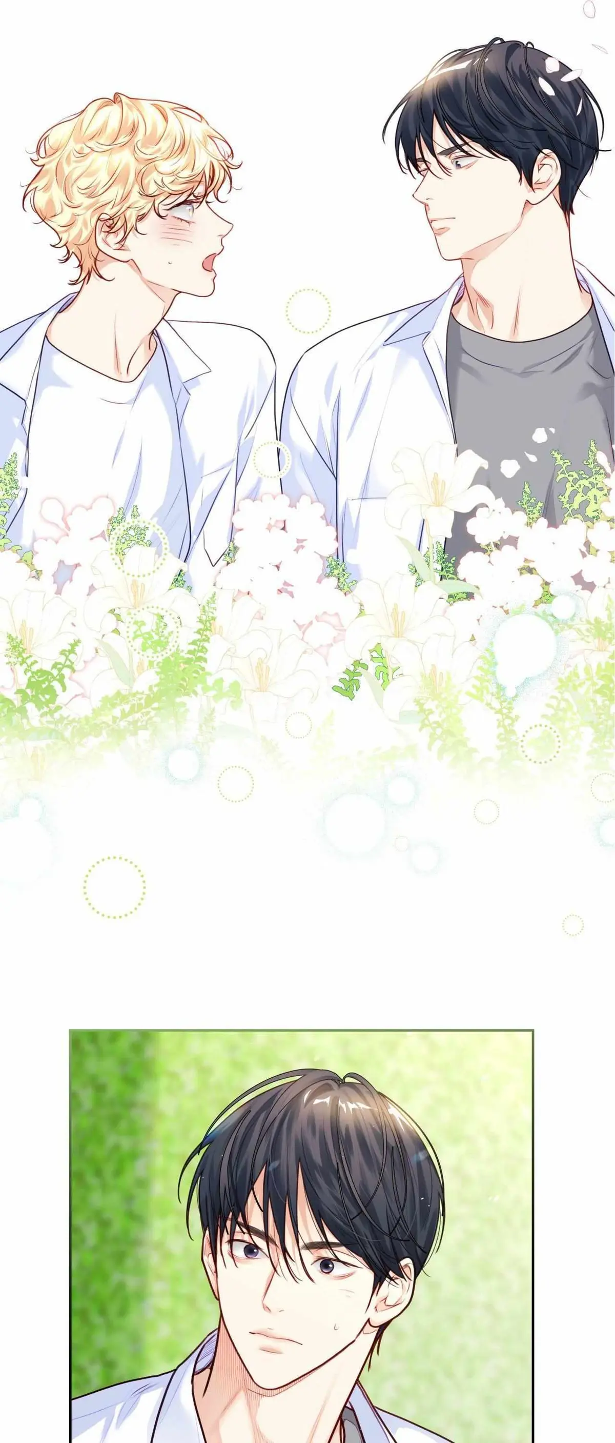 43b2310b58a6
