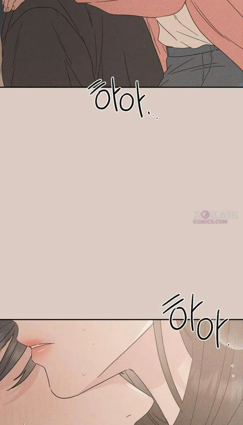 c5bf6b78351a