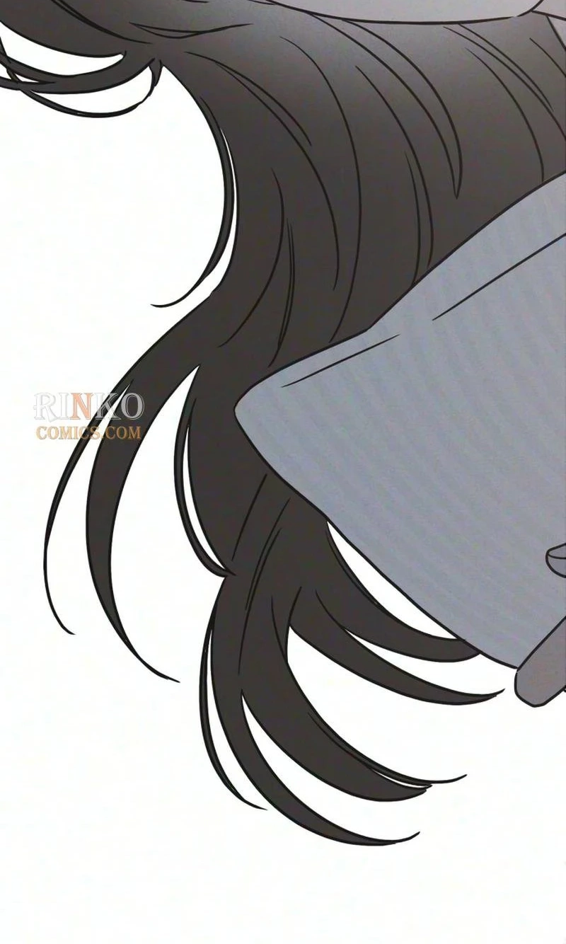 ae009d71b541