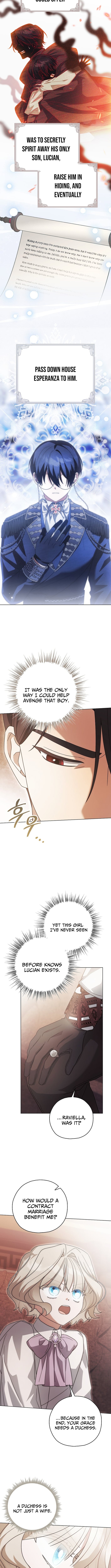 Looking For The Villainess’s Contract Husband Chapter 10 40 04