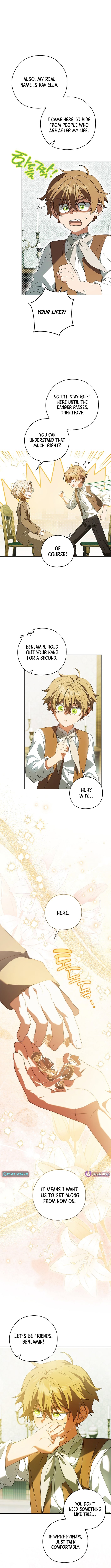 Looking For The Villainess’s Contract Husband Chapter 17 51 12