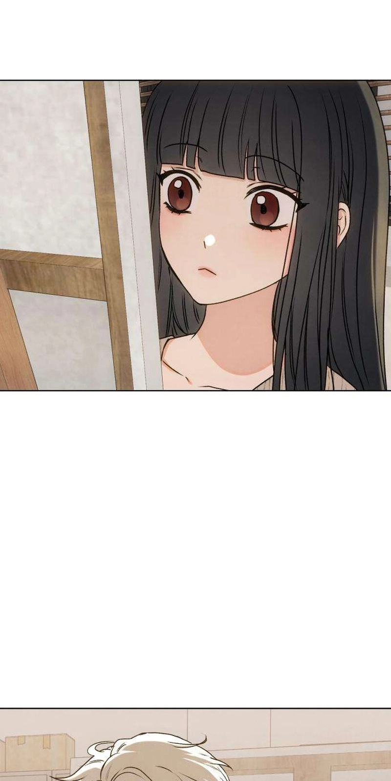 53262f6bd069