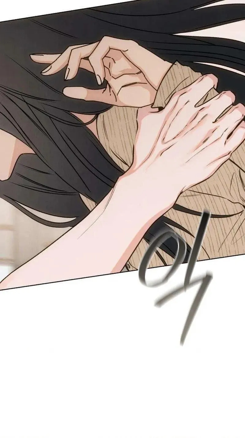 538f5e8694d4