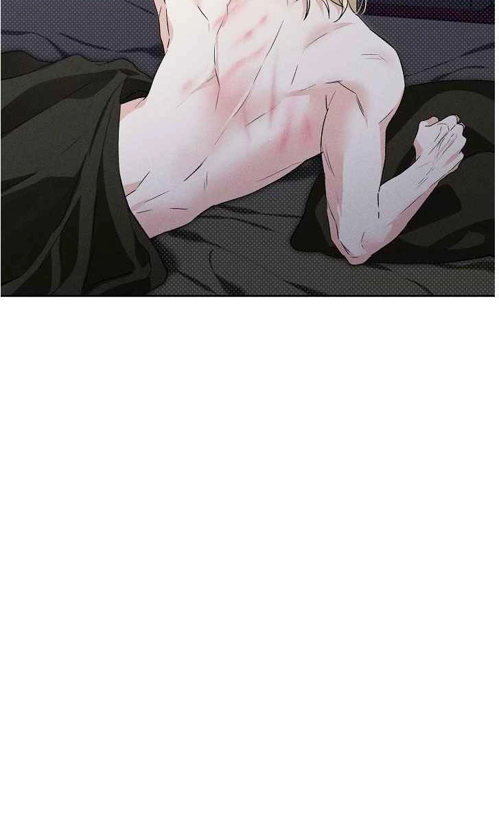 bc8f3c87f532