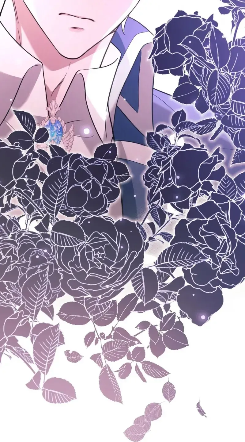 276ffabae9c6