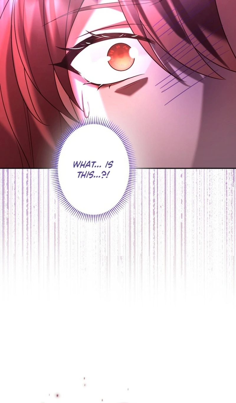 c835794c13e5