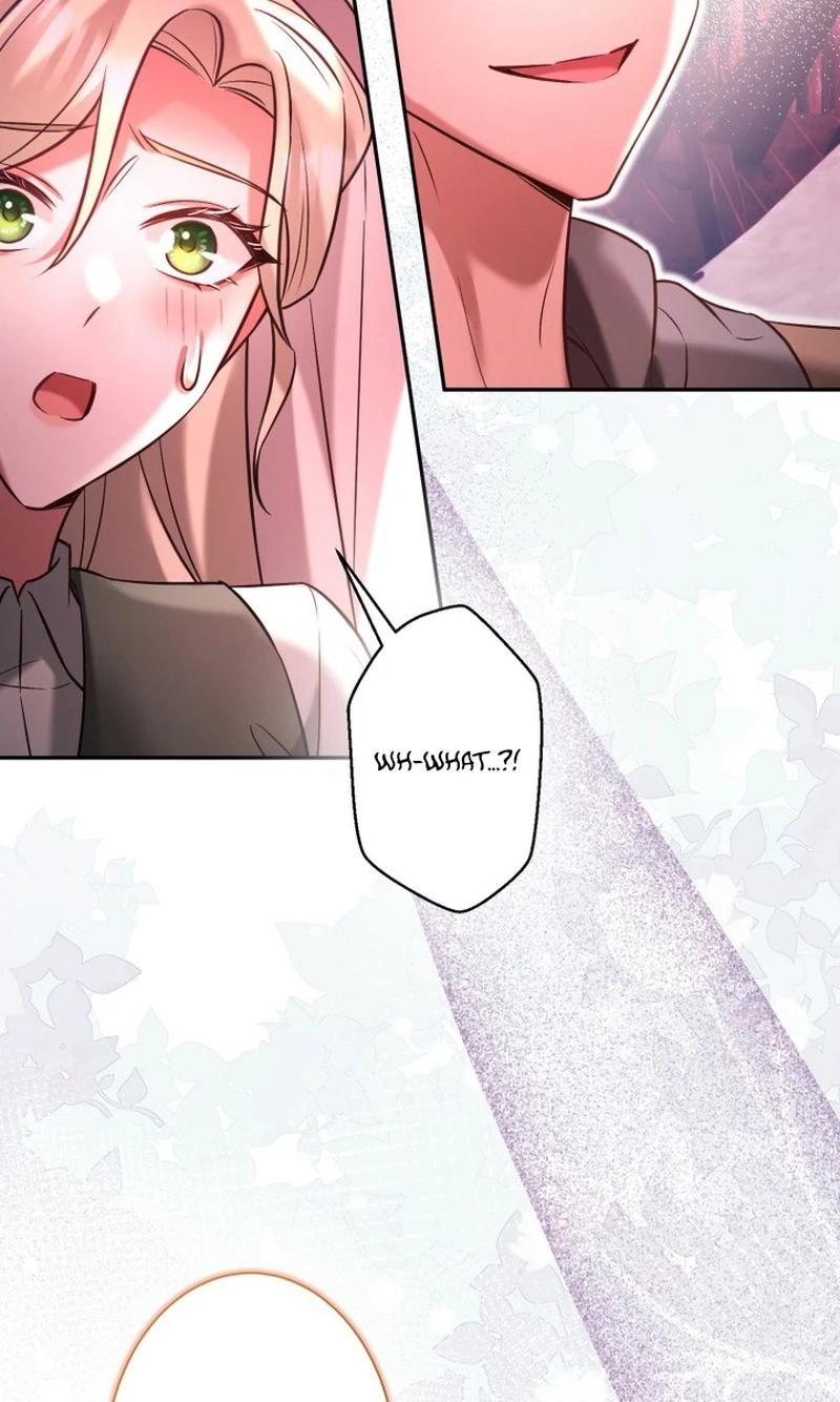 c21b41cedac5