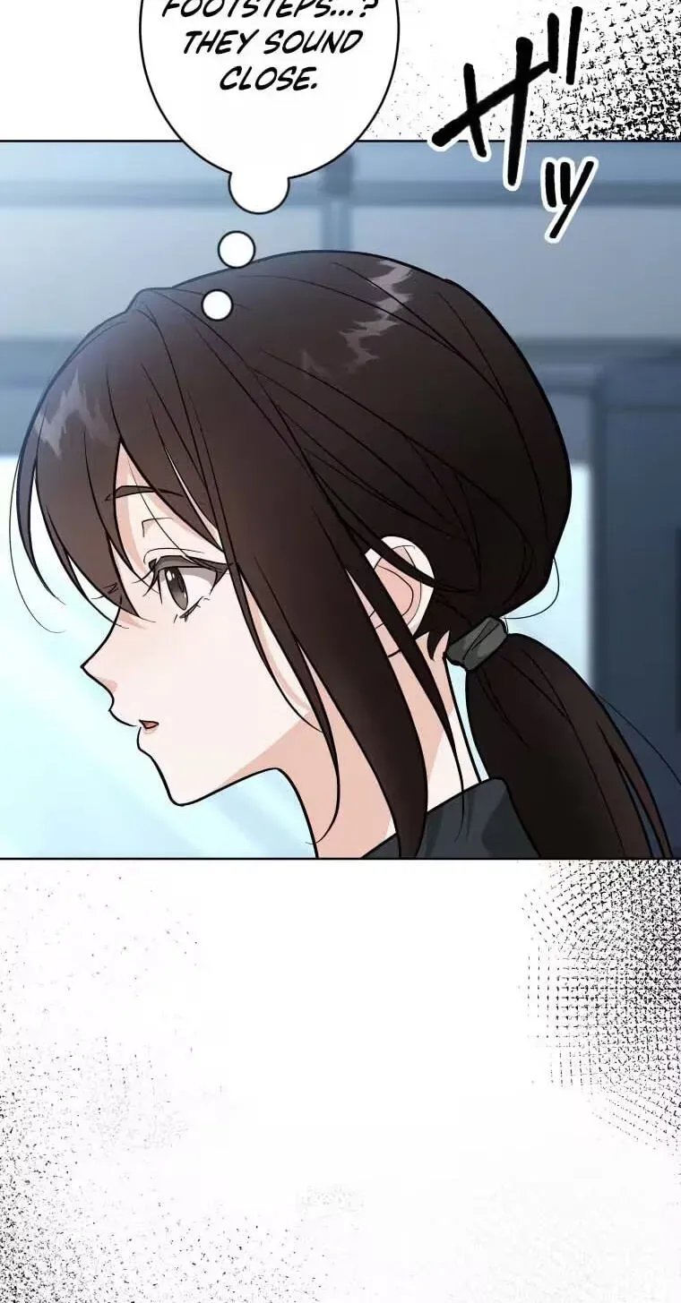 5368c80fc3c1