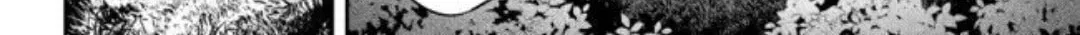 ed22c3983b8a