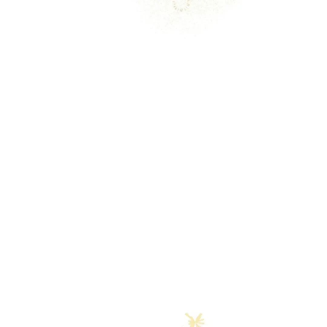 d07e5dfbe919