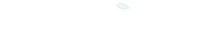 08 result