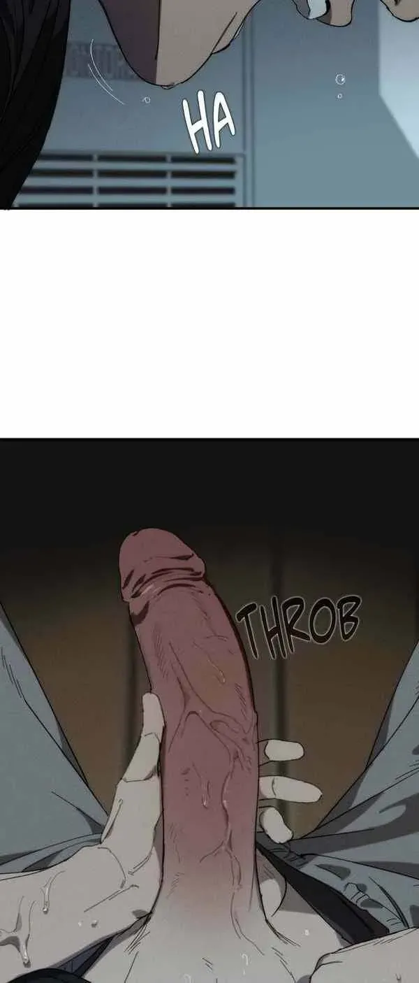 35195a978080