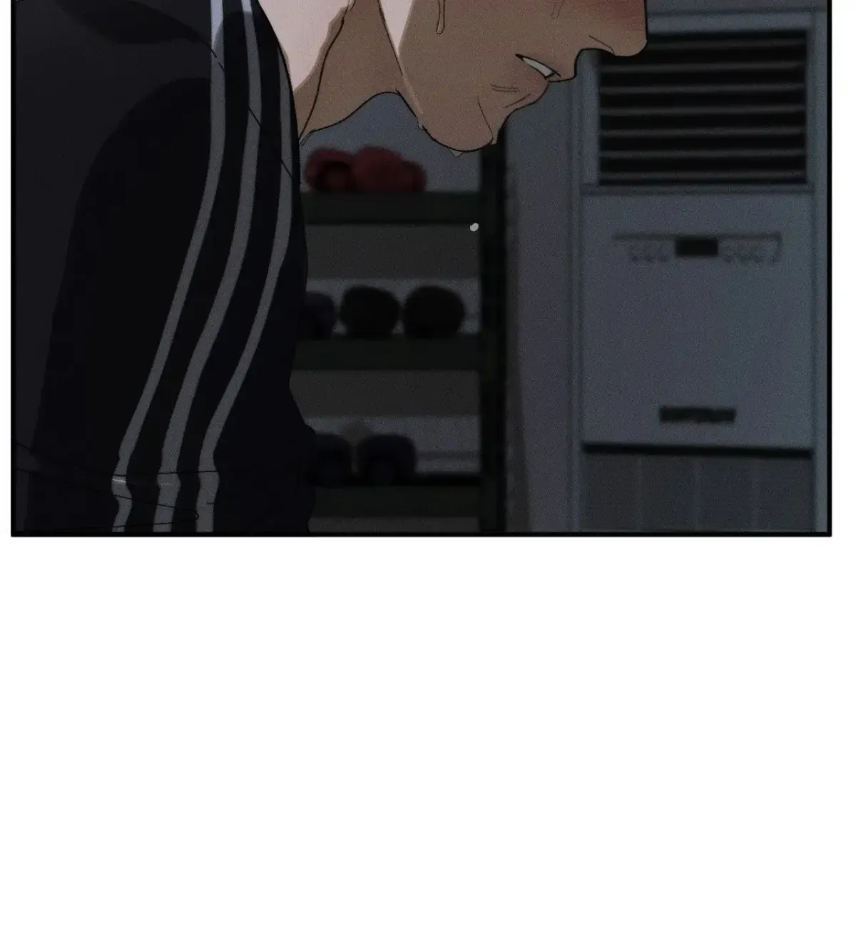 e38443effcd7