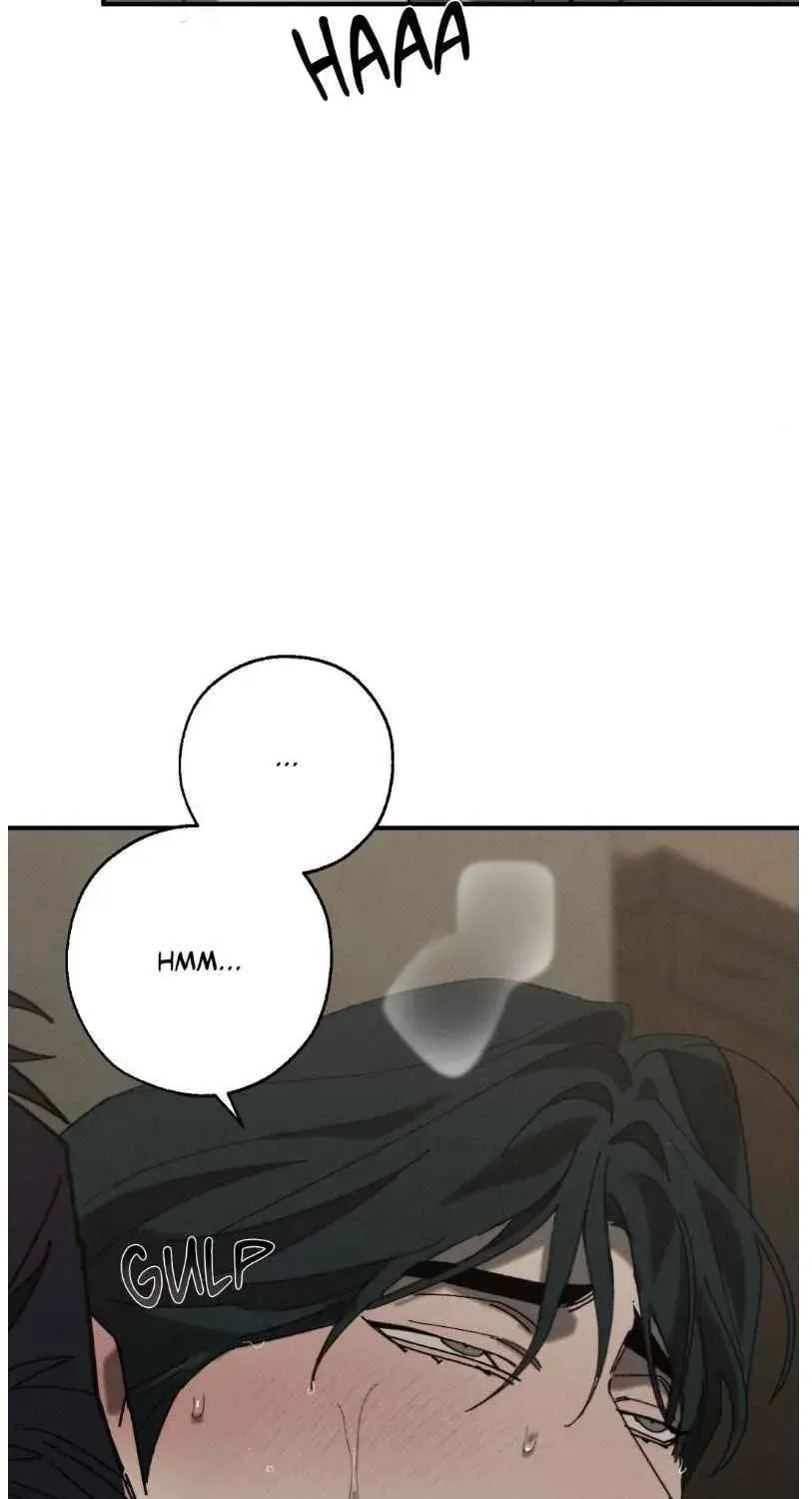 d435b0f72302