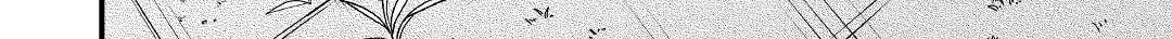 Tensei Youjo wa Owabi Cheat de Isekai Going My Way Chapter 2 188 6624b1effd09