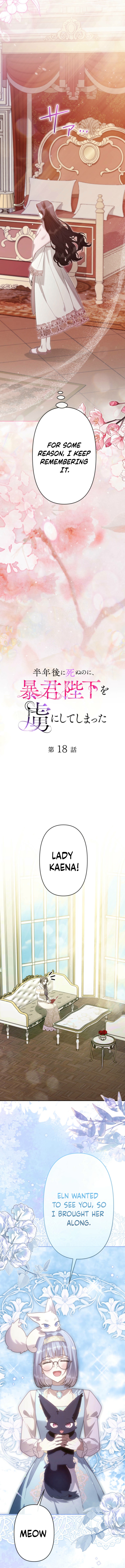 4db841b9a868058bb7960b5d830a7530